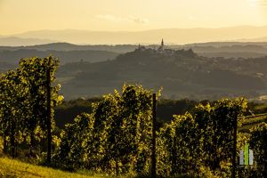 Landgasthof mit Zimmervermietung