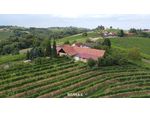 IN SLOWENIEN - Weingut in der berühmten Weinbauregion JERUZALEM