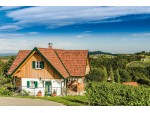 Buschenschank Weingut Pichler-Schober vlg. Hosn