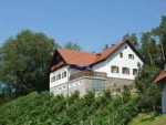 Buschenschank & Weingut Strohmeier vlg. Kini