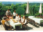 Weingut Buschenschank Maier vlg. Winkelbauer