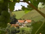 Buschenschank-Gästezimmer-Weingut Stoff vlg. Winkelmachl