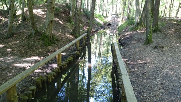 Kneipppfad im Bach beim Attemsmoor