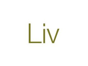 Liv Immobilienvermarktung GmbH