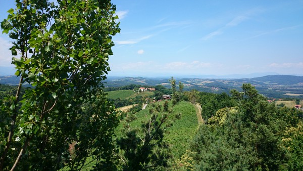 Kreuzkogelwarte - Blick Richtung Buschenschank Kieslinger