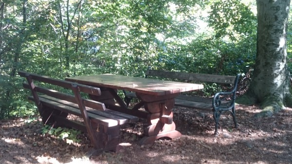 Rastplatz am Fue der Aussichtswarte Demmerkogel