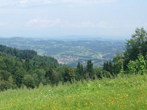 Aussicht auf Leutschach vom Ausstieg aus der Heiligengeistklamm