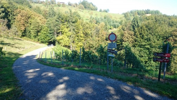 gleich unten im Wald steht die alte Wassermhle