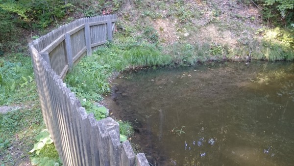 Teich hinter der alten Wassermhle in Eichberg Trautenburg