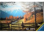 Nr. 623 Schönes Ravensburger Puzzle 3000 Teile vollständig,