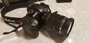 Panasonic GH5+Olympus M. Zuiko 12-100mm Leica DG Summilux 15mm