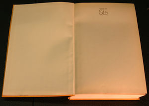 Buch Stephen King Sie