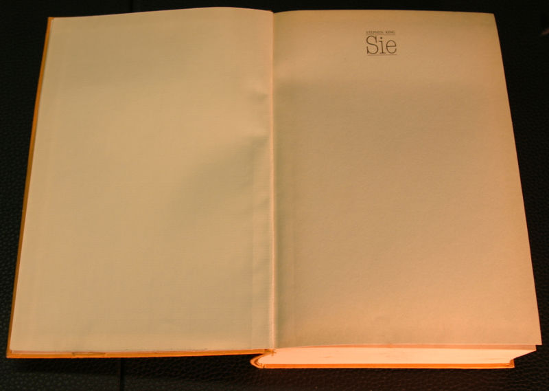 Buch Stephen King Sie
