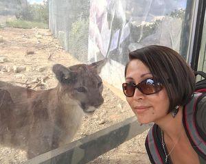 Suche führende Hand