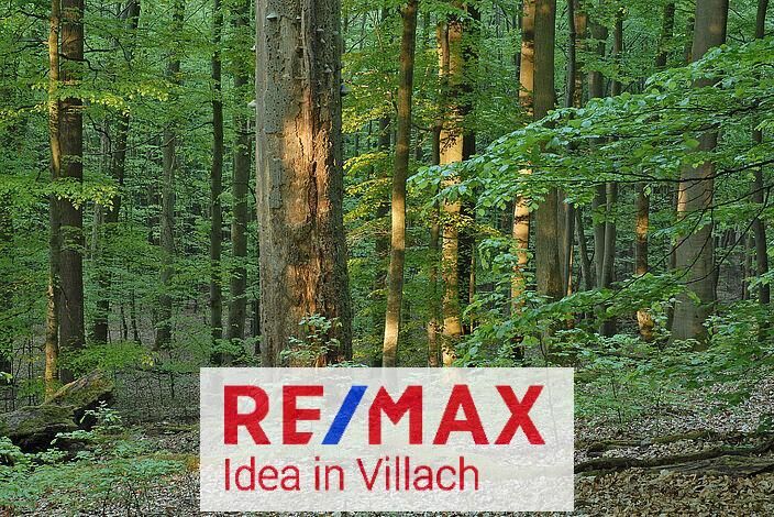 Waldparzellen in Görtschach und Vorderberg