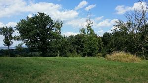 Grünland Tullnerfeld Aussichtslage