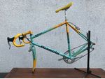 Bianchi Mercatone Uno Mega Pro Campagnolo 9 Speed Marco Pantani Rennrad