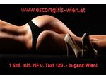 ESCORTGIRLS-WIEN - VIENNAS BEST ESCORTSERVICE