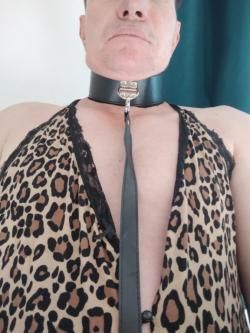 Sissysklave sucht eine Herrin