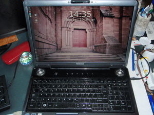 17 Zoll TOSHIBA Notebook, gebraucht, inclusive Koffer.