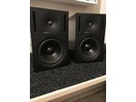 Genelec 1030A Gebraucht