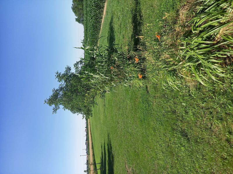 2 Fam.-Haus ,Villa , 5644m2 Baugrund,Ungarn,Neusiedelamsee20min