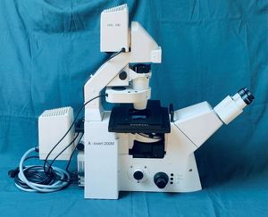 Inverses Fluoreszenz Mikroskop Axiovert 200M von Carl Zeiss