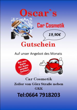 Auto Reinigung Villach