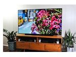 LG 77 Zoll Cx 77 Zoll 195cm