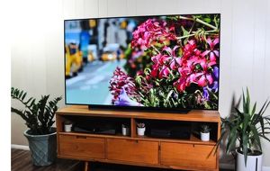 LG 77 Zoll Cx 77 Zoll 195cm