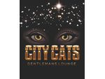 CITY CATS ESCORT�S - STEHTS ZU DEINEN DIENSTEN