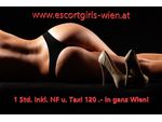 ESCORTGIRLS-WIEN - VIENNAS BEST ESCORTSERVICE