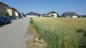 Amstetten - Schönes Haus in Holzriegelbauweise mit Grundstück