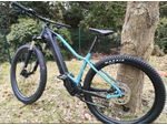 E-Bike Bergamont E-Revox Sport FMN 29" 2022