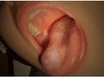Blowjob.