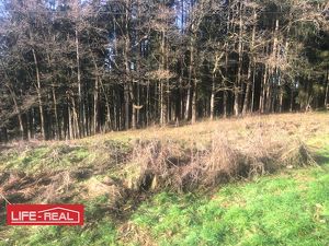 Am Wald grenzendes Baugrundstück