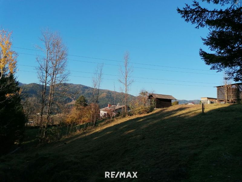 Vielseitiges Grundst&uuml;ck in idyllischer Lage s&uuml;dlich von Wartberg