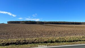 PROVISIONSFREI f. d. Käufer! GROSSE landwirtschaftliche Flächen (ca. 27 ha!) und ein Waldgrundstück! BEZIRK OBERWART!