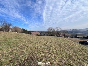 Baugrundstück an der Weinstraße zu verkaufen - unverbaubarer Ausblick!