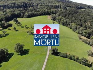 NEUER PREIS! 10 ha Grünland und Forstwirtschaftsflächen