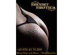 ESCORT EROTICA - BRANDHEISSE TOP-GIRLS!