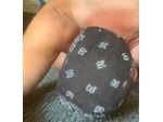 Suche aktiven Escort oder TG-Boy