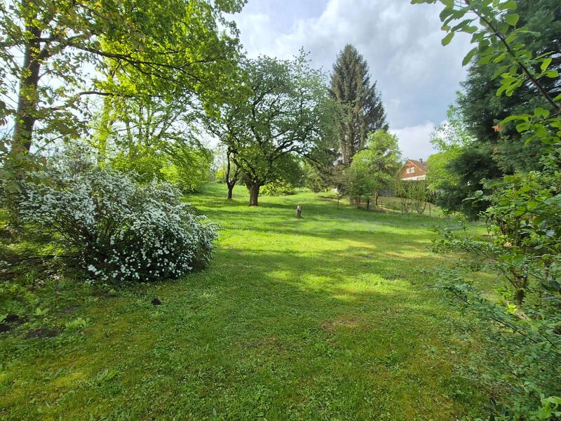 LIEGENSCHAFT MIT GROSSEM GRUND UND 2 H&Auml;USERN MIT WOHNRECHT