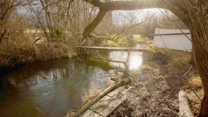 Bungalow mit Natur pur im eigenen Garten!