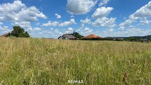 Sonniger Baugrund mit Burgblick