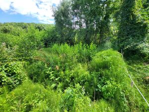 GRUNDSTÜCK IN HANG-RANDLAGE MIT BLICK IN DEN WIENERWALD