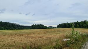 --> Ca. 4 ha landwirtschaftlicher Grund und Wald am Stadtrand von Wels zu verkaufen