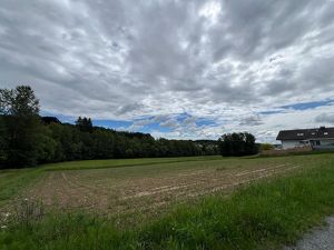 Baugrundstück in Bad Gams für Bauträger!