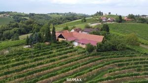 IN SLOWENIEN - Weingut in der berühmten Weinbauregion JERUZALEM