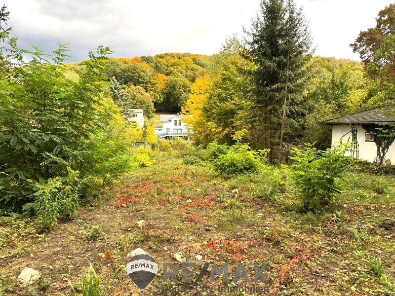 "Rarität - Baugrund in Mauerbach an der Grenze zu Wien"
